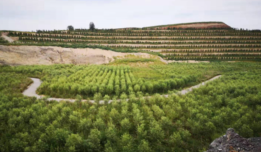 Comprehensive Ecological Management of Mining Areas