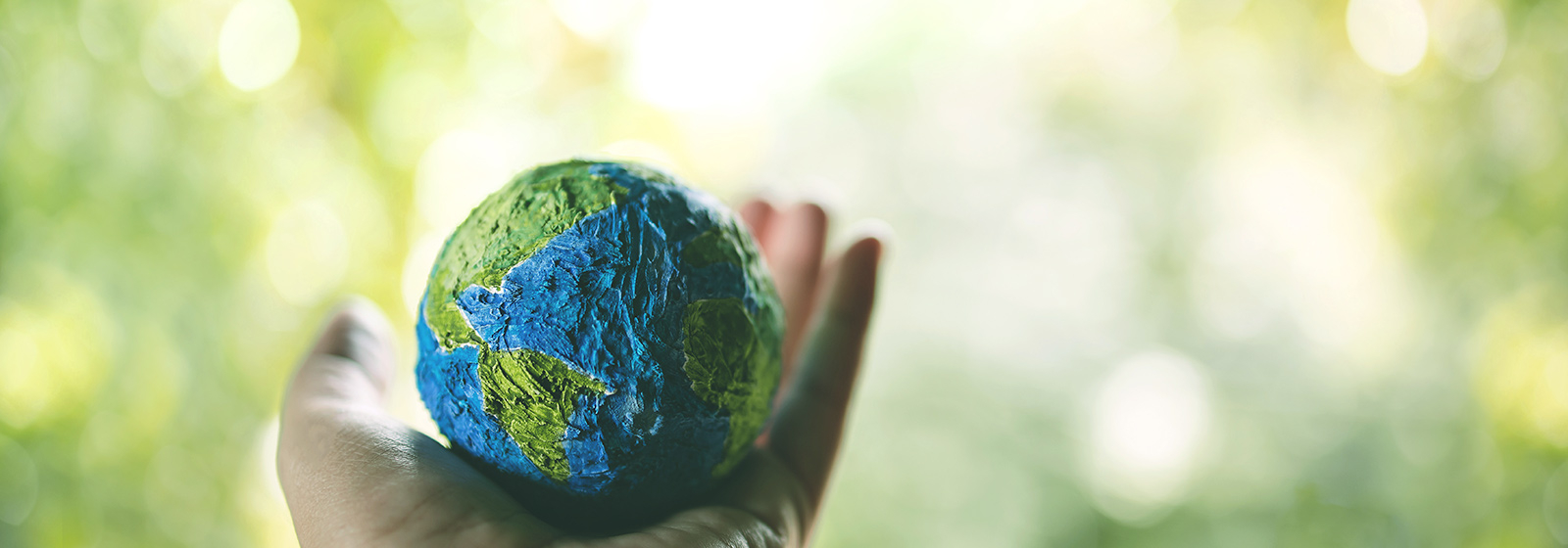 Sustainability Report